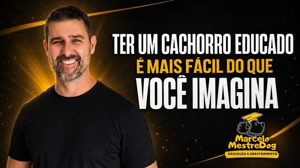 Apresenta&ccedil;&atilde;o do programa Meu Filhote Educado